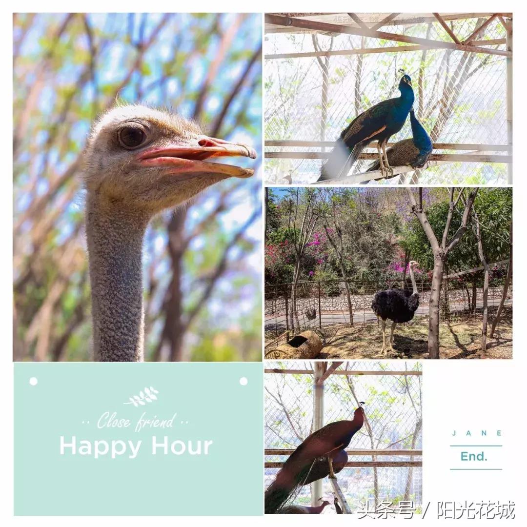 攀枝花周边一日游最佳路线,攀枝花周边有什么好玩的地方