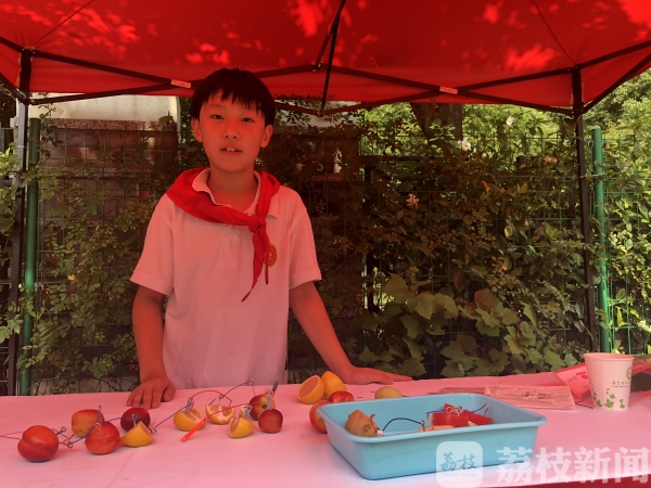 水果生态采摘园南京,水果采摘园基地南京