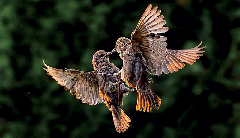 鎯犳儬鎽勫奖浣滃搧娆ｈ祻,鎯犳媿鎽勫奖