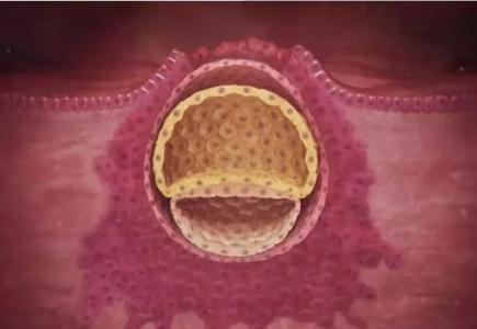 高龄做试管婴儿的经历,试管婴儿成功案例分享真实经历