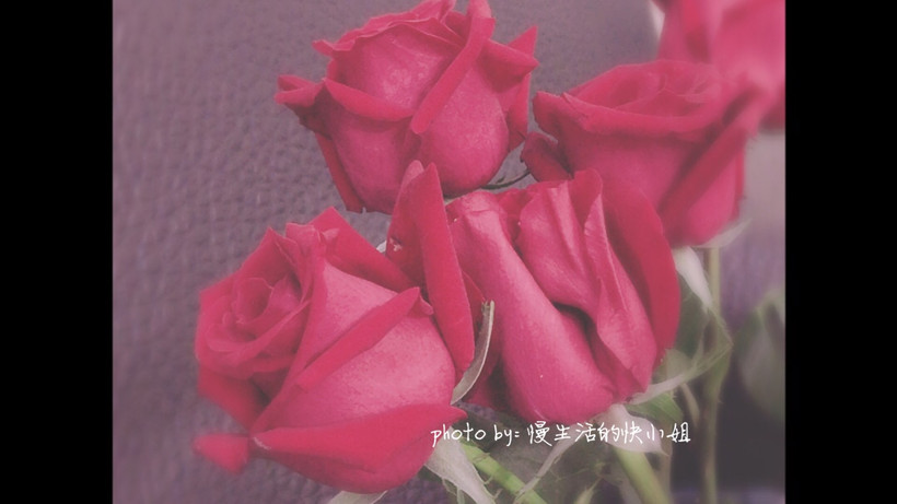 花店鲜花推荐,应季鲜花花店推荐