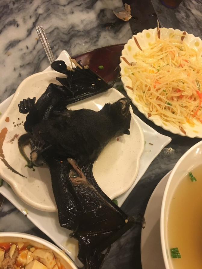 帕劳海底之旅,帕劳的海底