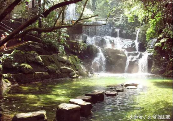 端午节放假回家团圆,广东各地端午粽子