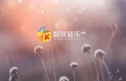 酷狗酷我QQ音乐网易云音乐虾米音乐哪个版权多,音质音效好?