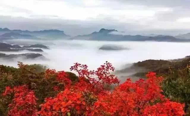 焦作世界杯足球,河南省运动会焦作代表团