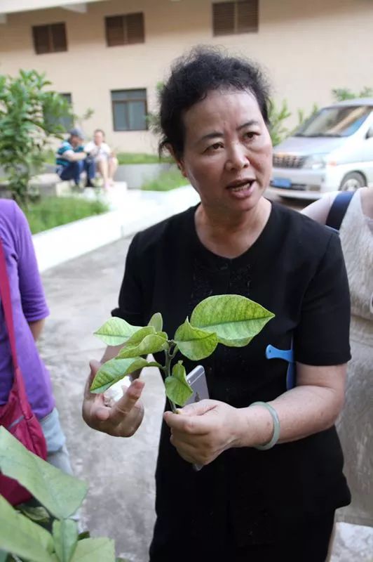 胡博士讲中药,胡博士说中医完整版