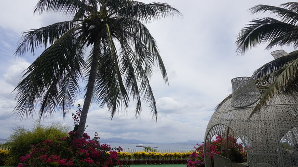 一个人的旅行真的有意义吗,旅行的意义和不期而遇的相遇