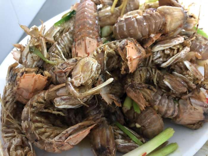 旅行结婚,结婚旅行适合去哪