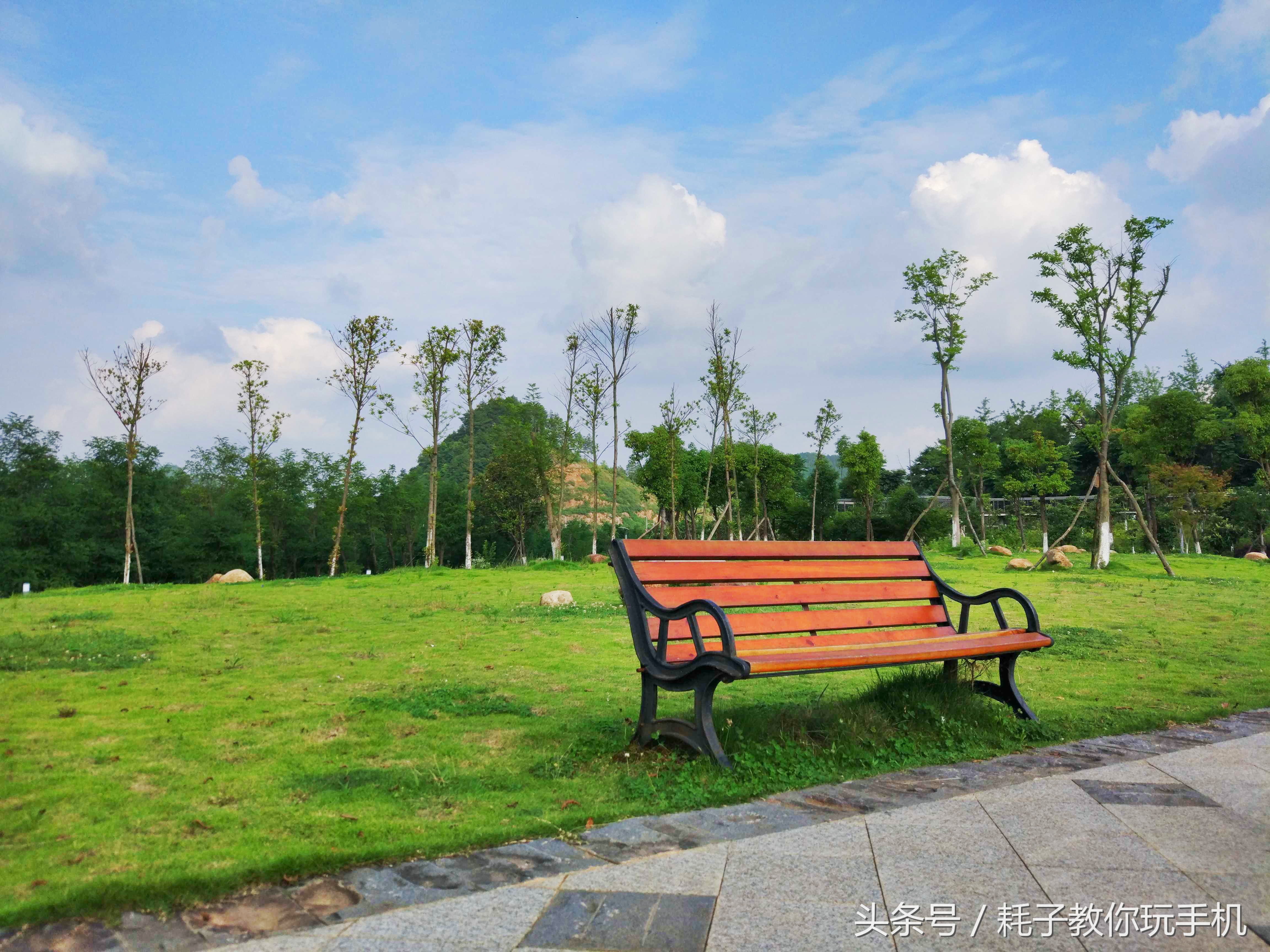 小米10升级miui14后的拍照咋样,小米5拍照为什么强