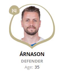 冰岛队的人真的都是业余的么,冰岛队都是业余球员吗