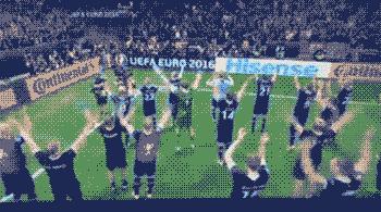 2018年冰岛足球队成绩,冰岛队历届世界杯排名