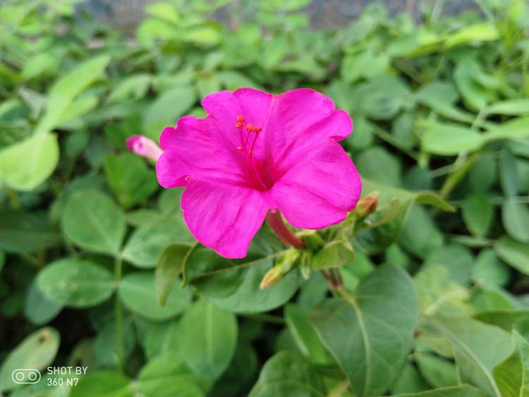 带拍照功能的游戏,手机除游戏拍照还有什么刚需性能