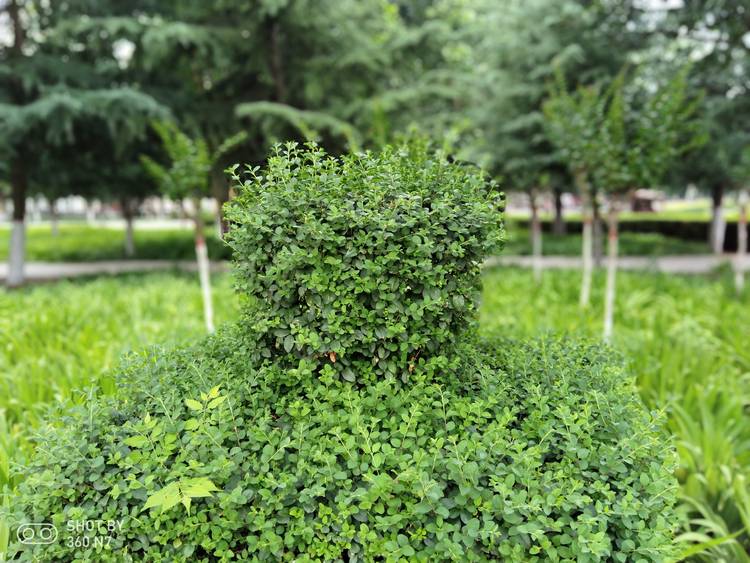 带拍照功能的游戏,手机除游戏拍照还有什么刚需性能