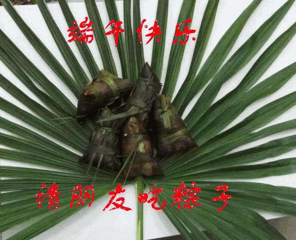 端午节问候网红视频,端午节问候视频