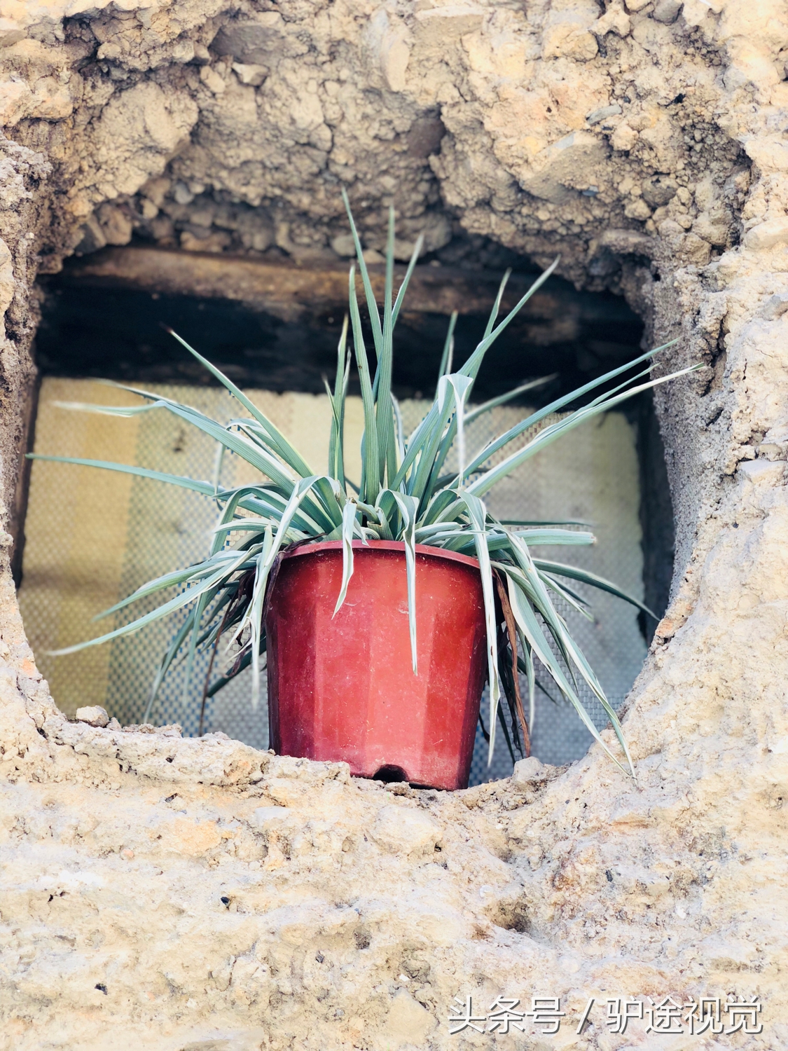 福建畲族风情文化村,福建畲族村游玩攻略图