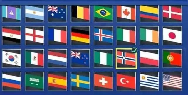 堡垒之夜世界杯,堡垒之夜世界杯咸鱼皮肤