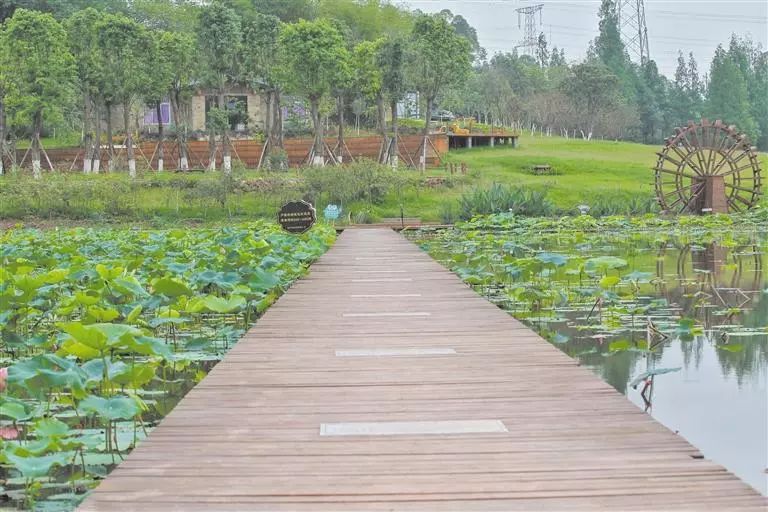 天府新区农村改造,成都天府新区乡村