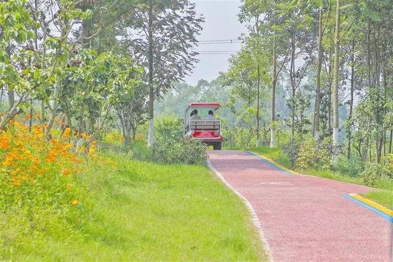 天府新区农村改造,成都天府新区乡村