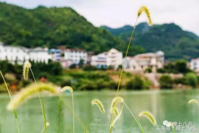 翁源古村美景,故乡月原创视频