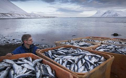 冰岛足球进步得有多快,足球逆袭冰岛