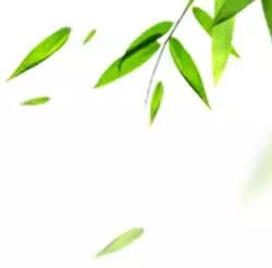 古诗词望江南宋代,古诗望江南作者苏轼