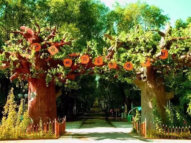 新疆哈密风景最美的地方,新疆哈密值得去的景点排名第一