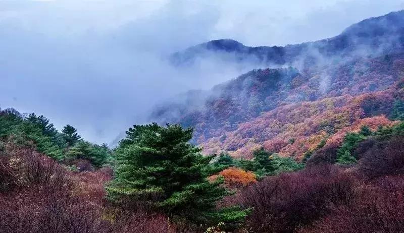 端午旅游河南推荐2-3天游,河南端午2天旅游最佳去处