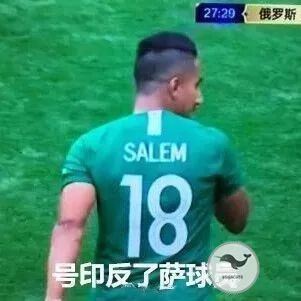 普京观看世界杯揭幕战,世界杯普京名场面