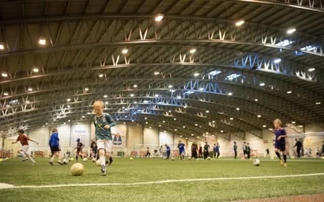 冰岛队成员,冰岛国家队真是兼职的吗