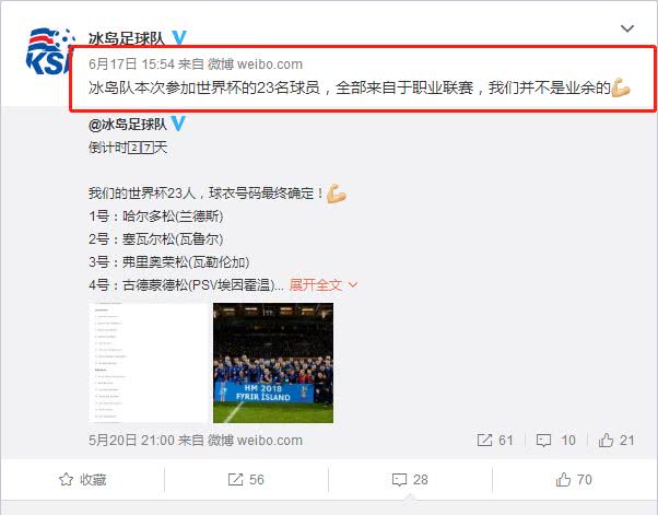 冰岛足球队辟谣,冰岛队长辟谣
