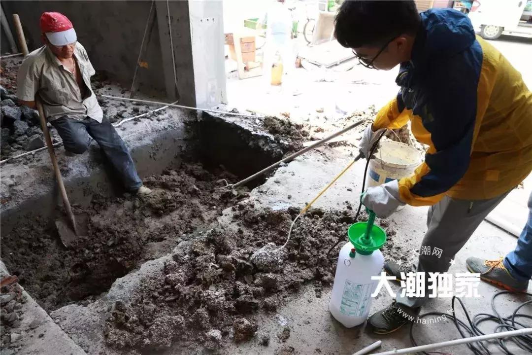 千万别大意！这户人家挖出成千上万蠕动的……房子下面还有十几个窝……