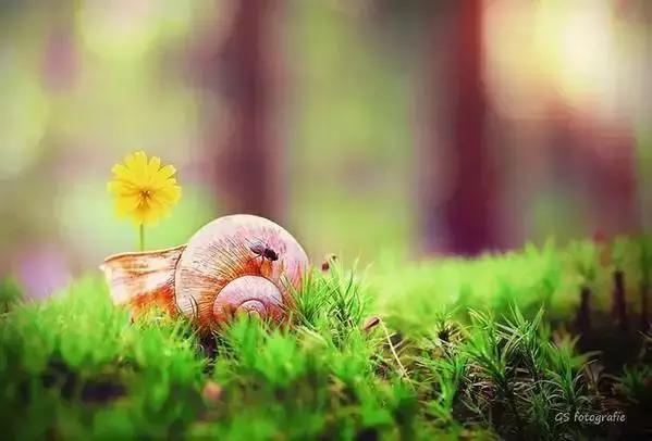 学英语第1步该干嘛,学英语关键在于方法