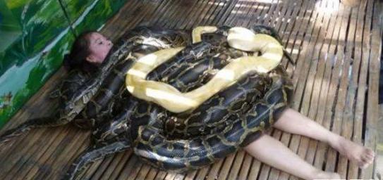 你绝对没看过这么神奇的操作,你绝对没见过的奇怪现象