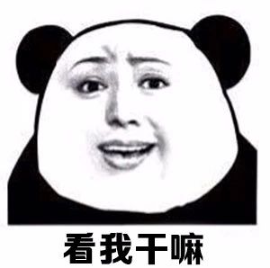 狗狗怀孕后，铲屎官需要必备哪些知识？