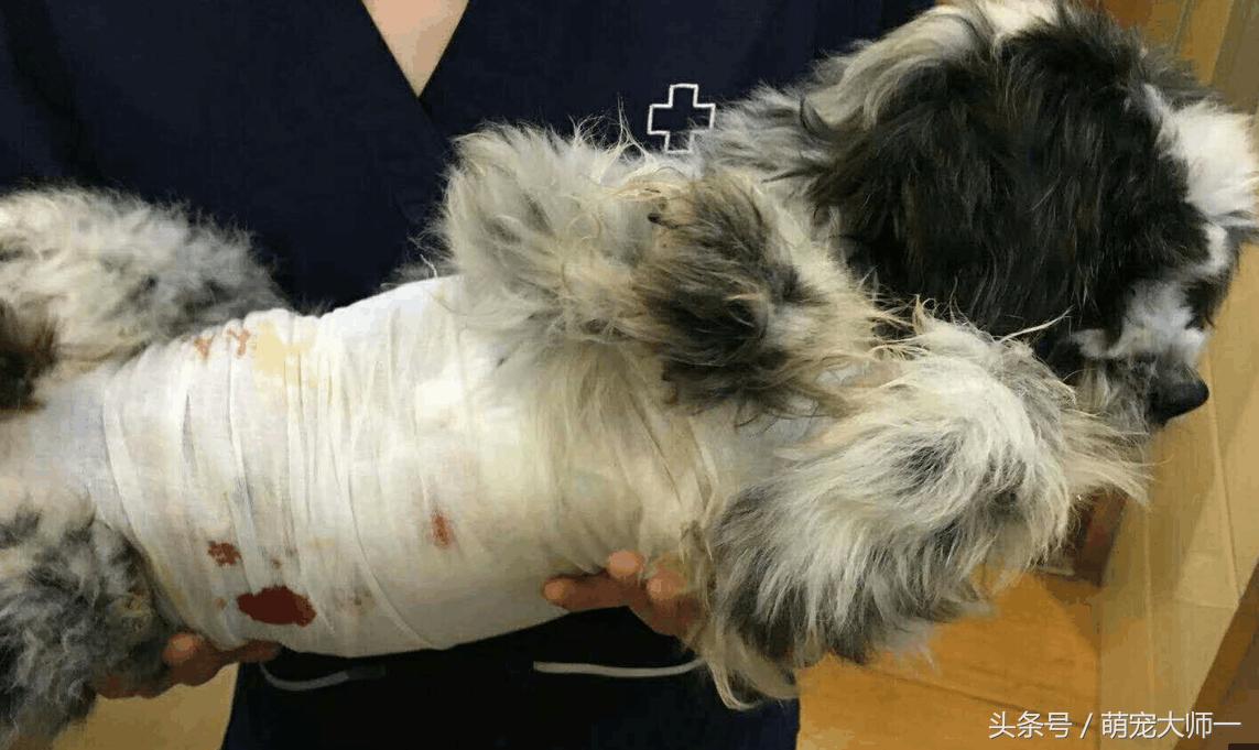 乳腺肿瘤秒懂百科,5分钟了解肿瘤