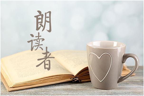 朗读者董卿人生的路视频,朗读者董卿人生的路