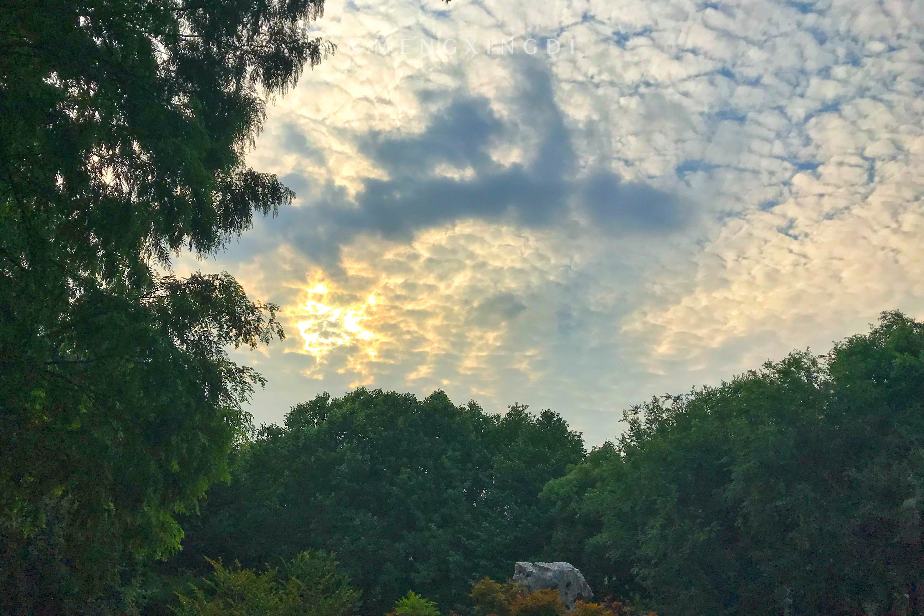 上海消暑园林好去处,上海初秋的长风公园