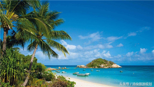 盘点那些花样百出的骗子,花样百出的骗局完整视频