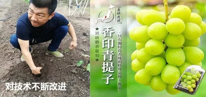 总有一款适合你春耕备耕进行中,现代农业案例分享