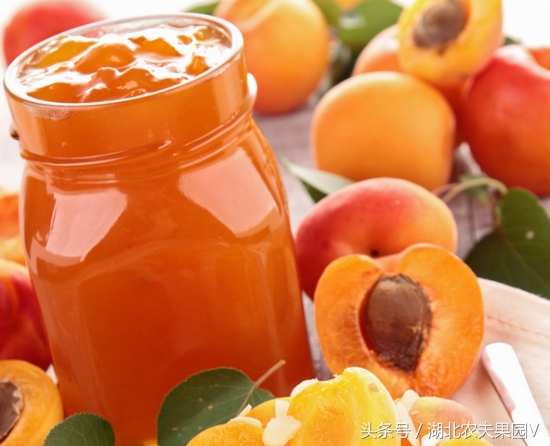 油桃蟠桃冬桃,蟠桃和碧桃区别是什么