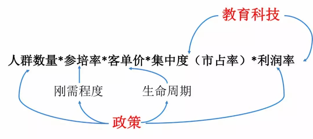 警惕热潮下的“郁金香”：谈教育投资的快与慢