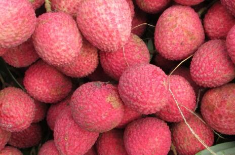 种植水果达到多少亩可以申请补贴,水果种植业有哪些优惠和政府补贴