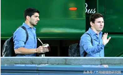 涓栫晫鏉樋鏍瑰环鐗╄祫,涓栫晫鏉壒鏁堣嵂