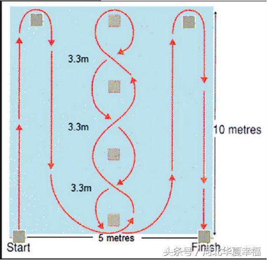 足球青训观察完整视频,青训观察颜色