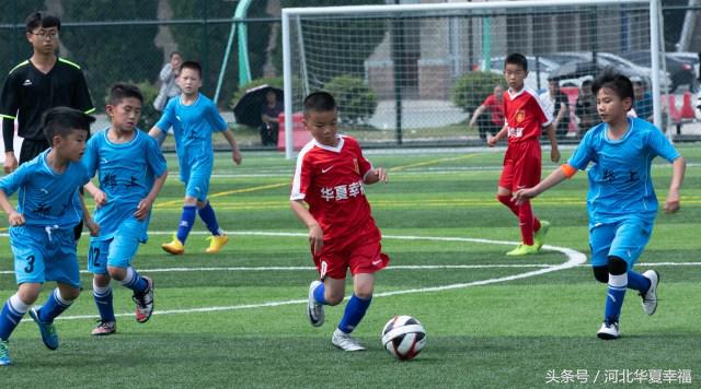 青训足球观察,足球青训观察完整视频