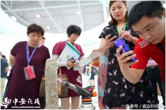 从垃圾里捡的东西变废为宝,从废物到宝物