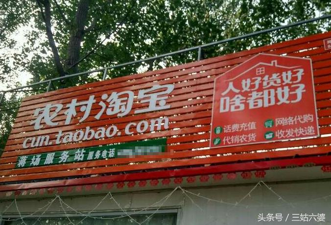 农村致富赚钱项目有哪些,农村致富项目一年四季有收益