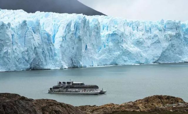 世界杯决赛潘帕斯雄鹰高卢,格子军团vs潘帕斯雄鹰复仇之刃