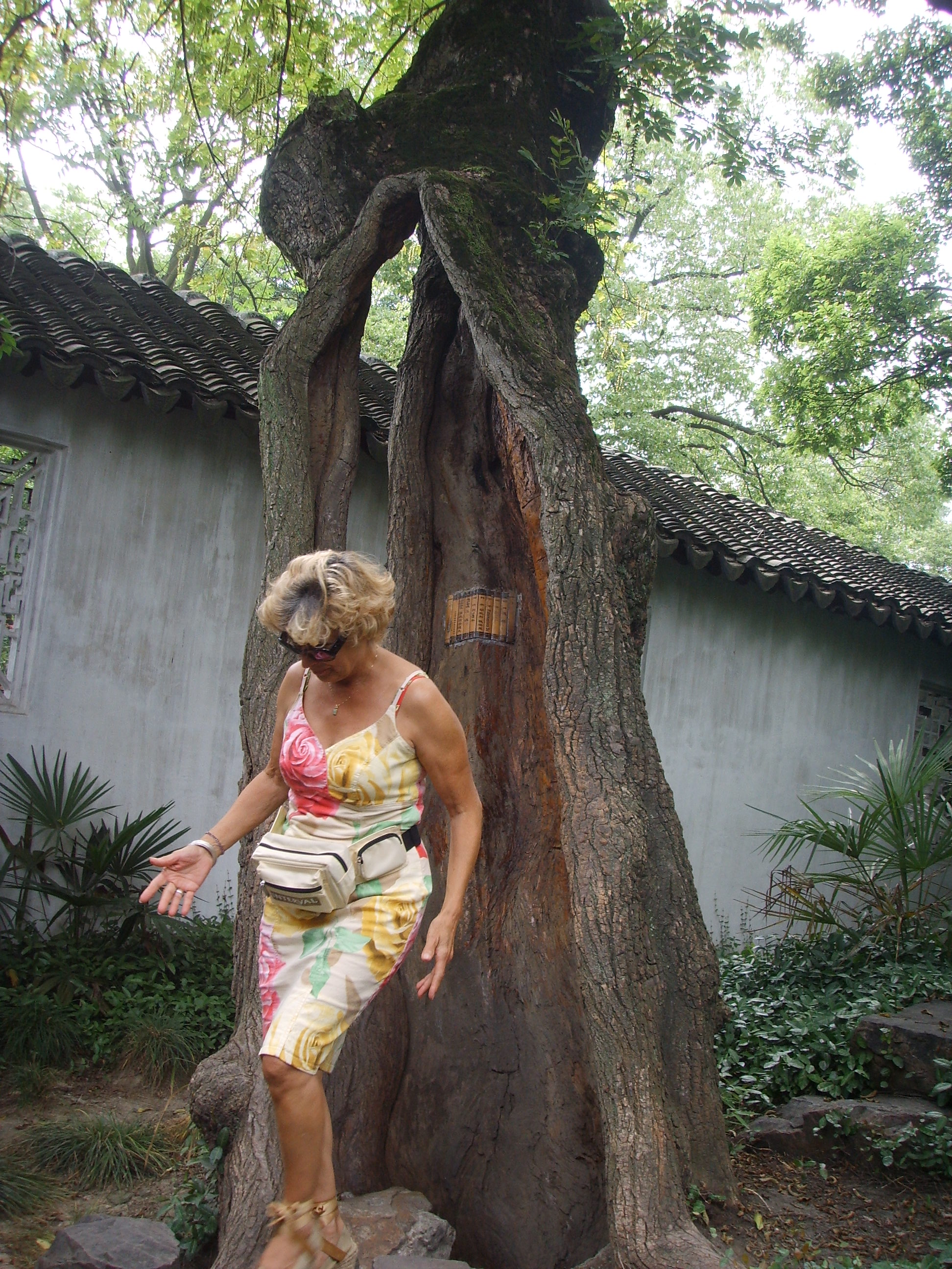 苏州园林的精品拙政园,苏州园林的拙政园故事