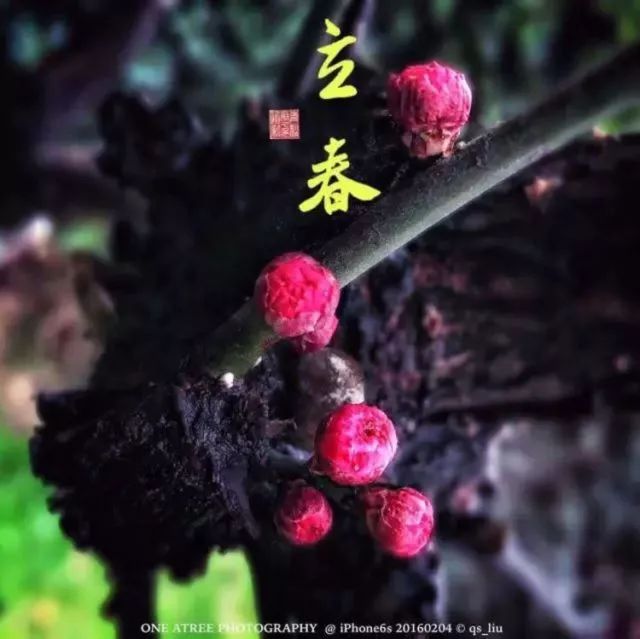 夏至在最短的夜陪你做最长的梦,夏至是白天对你思念最长的一天